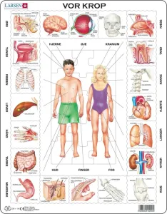 Larsen Puslespil - Vores Krop med 35 brikker LA10240