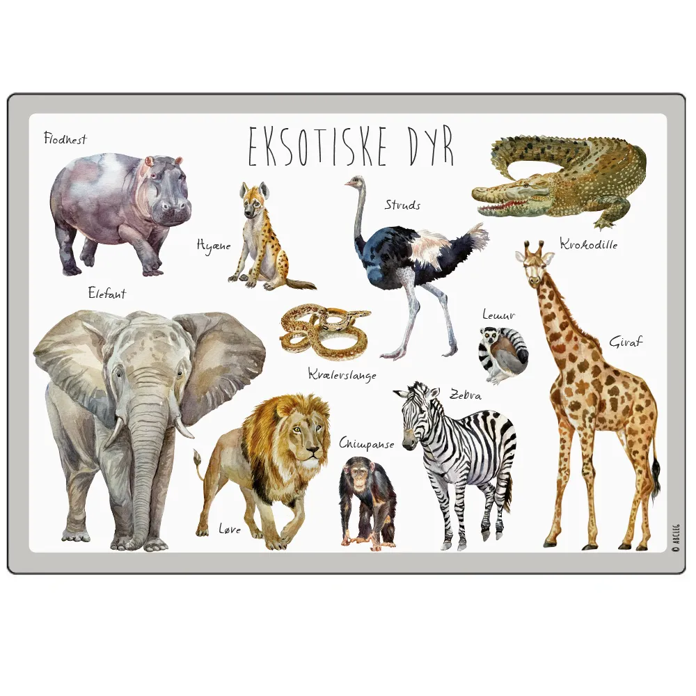 Abcleg Dækkeserviet - Eksotiskedyr 99-Eksotiskedyrdæk