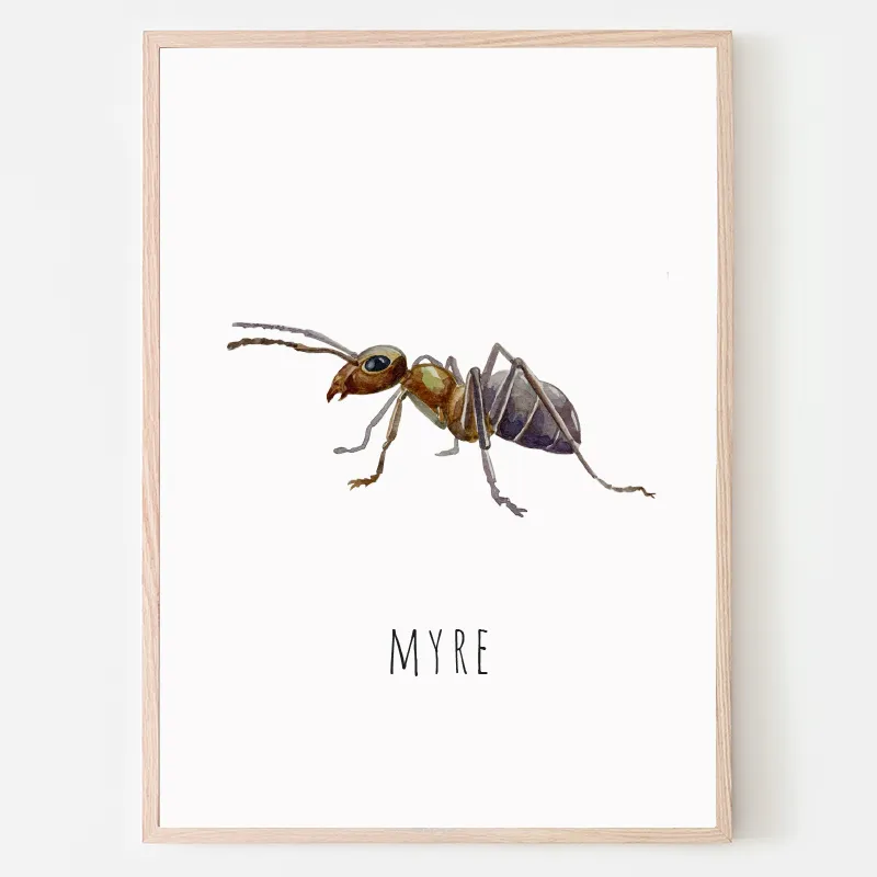 Dyreplakat Myre - A4 (21 x 29,7 cm.) Myre