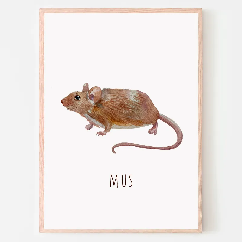 Dyreplakat Mus - A4 (21 x 29,7 cm.) Mus