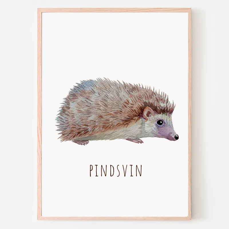 Dyreplakat Pindsvin - A4 (21 x 29,7 cm.) Pindsvin