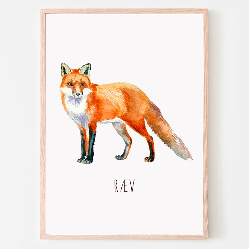 Dyreplakat Ræv - A4 (21 x 29,7 cm.) Ræv