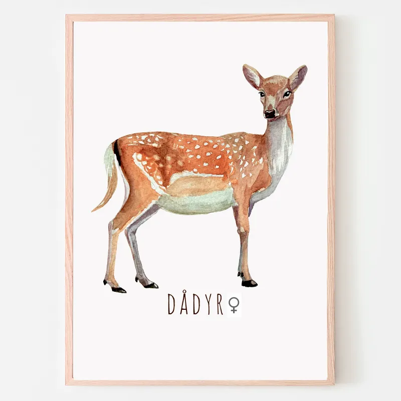 Dyreplakat Dådyr hun - A4 (21 x 29,7 cm.) Dådyr