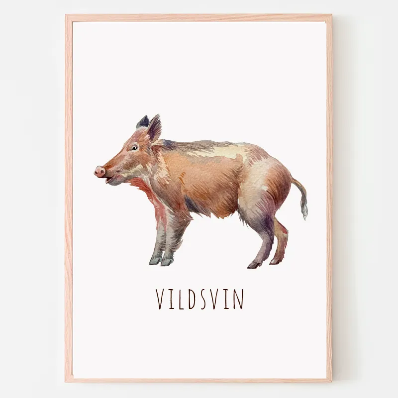Dyreplakat Vildsvin - A4 (21 x 29,7 cm.) Vildsvin
