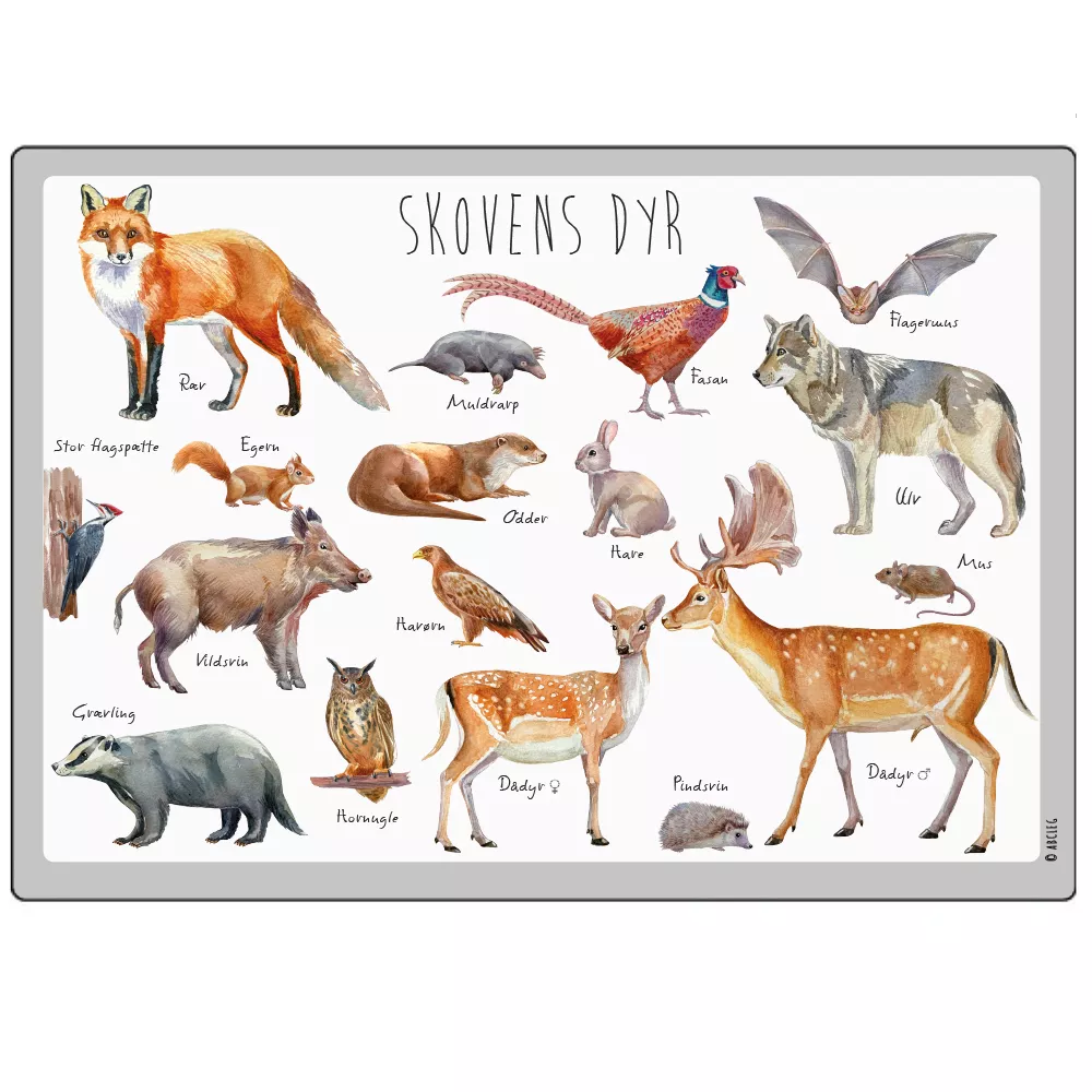 Abcleg Dækkeserviet - Skovens dyr 99-500598-1