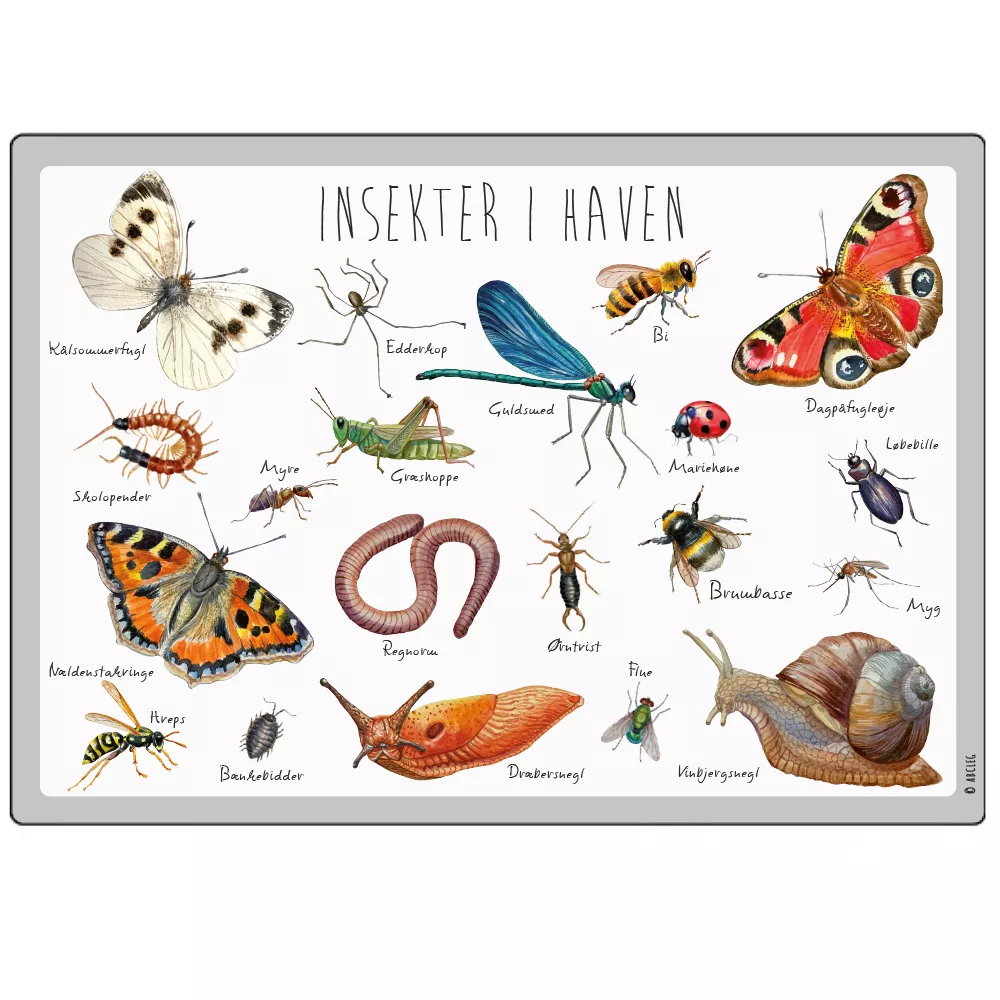 Abcleg Dækkeserviet - Insekter i haven 99-500598-2